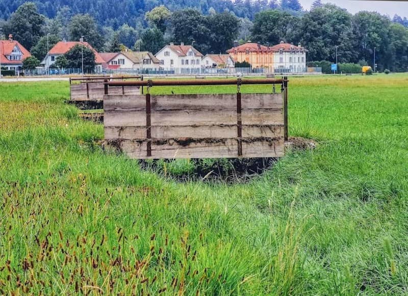 Wässermatten Roggwil - Image 1