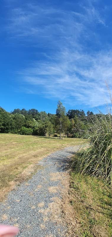 Birchville Park - Image 2