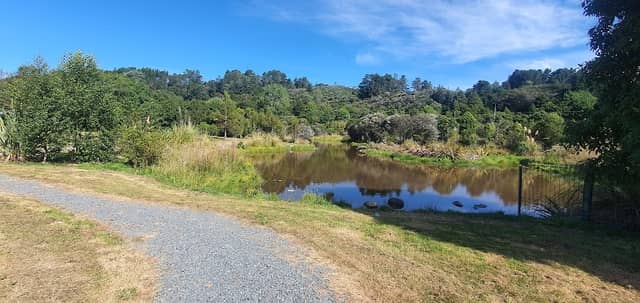 Birchville Park - Image 1