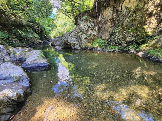 森林公園くつきの森 - Image 1