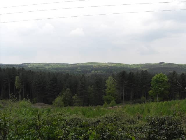 Beaudesert Old Park - Image 1