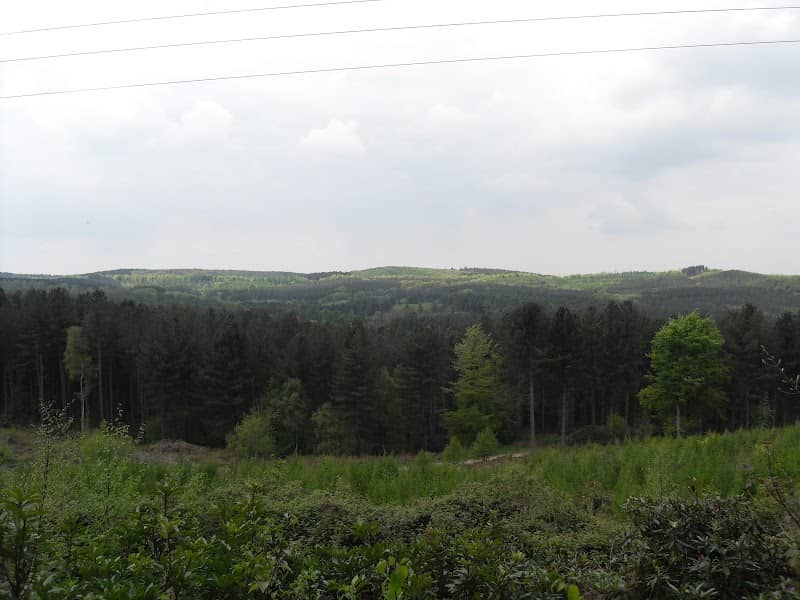 Beaudesert Old Park - Image 1