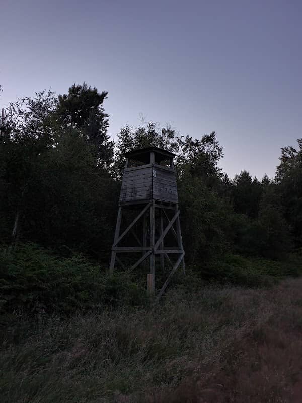 Beaudesert Old Park - Image 2