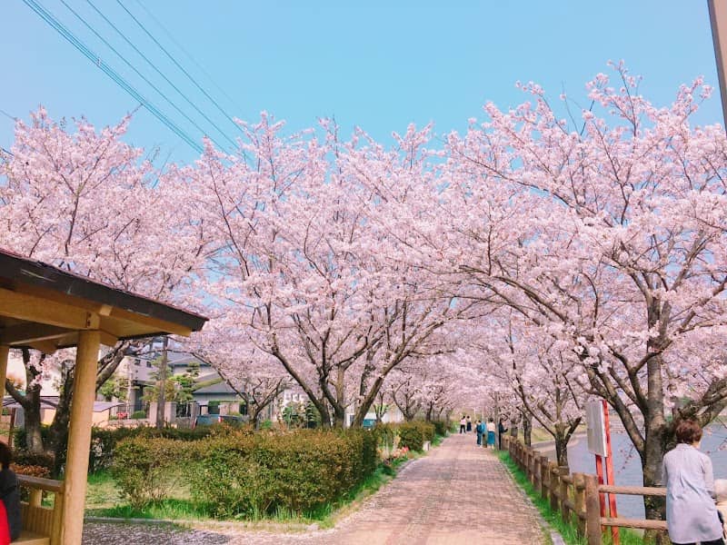 井原堤 - Image 1