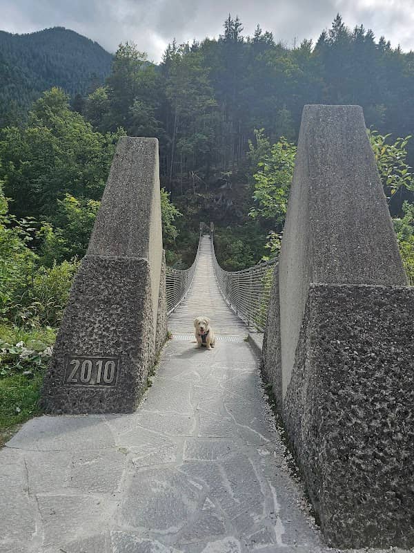 Hängebrücke Klausbachtal - Image 2