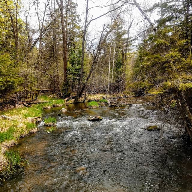 Blacks Grove Park - Image 2
