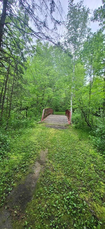 Blacks Grove Park - Image 1