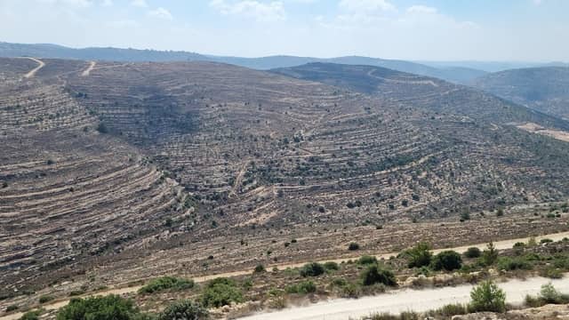 תצפית מעלה לבונה - Image 1
