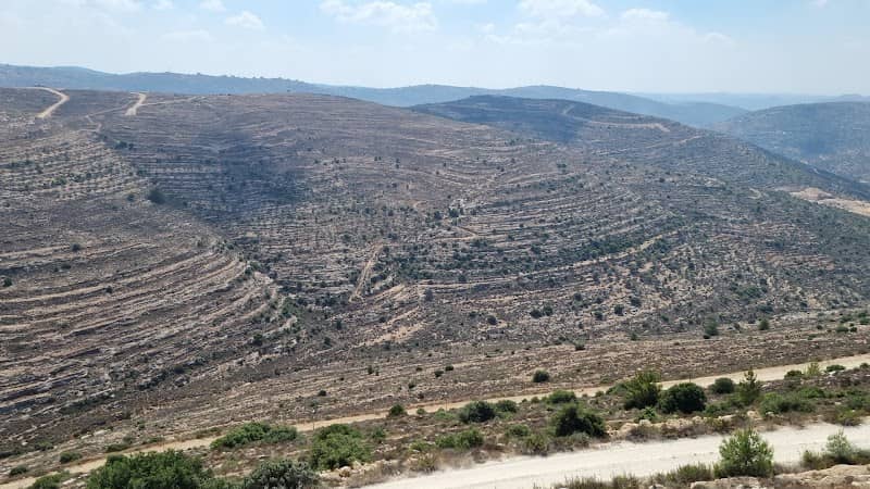 תצפית מעלה לבונה - Image 1