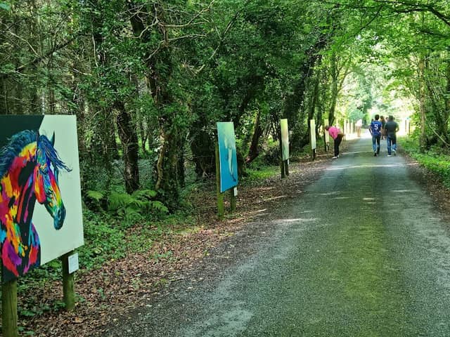 Pollagh Trail Birdhill Art Hub Art Exhibition One With Nature - Image 1