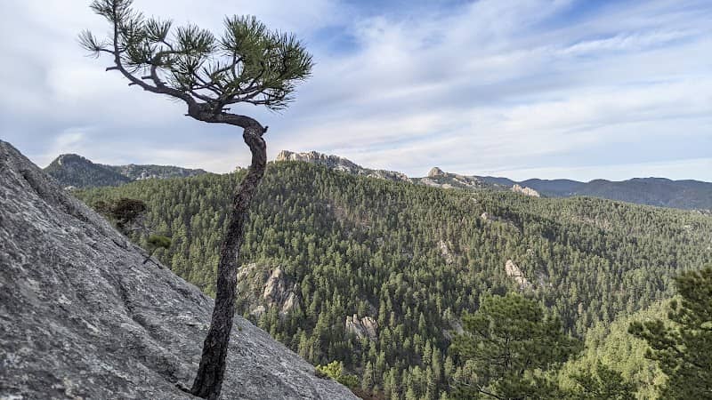 Turtle Rock - Image 1
