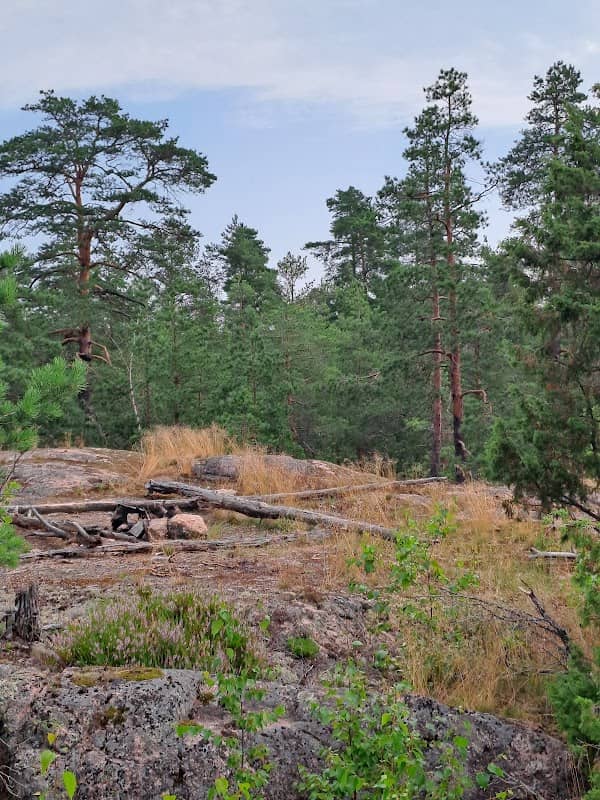 Pyhtäänvuori - Image 1