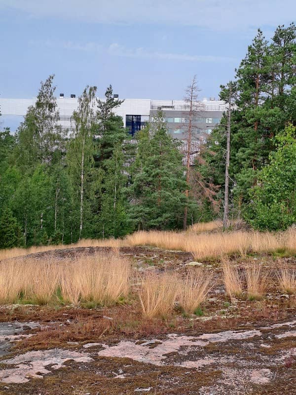 Pyhtäänvuori - Image 2