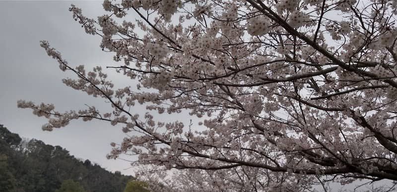 ふるさとの山広場 - Image 1