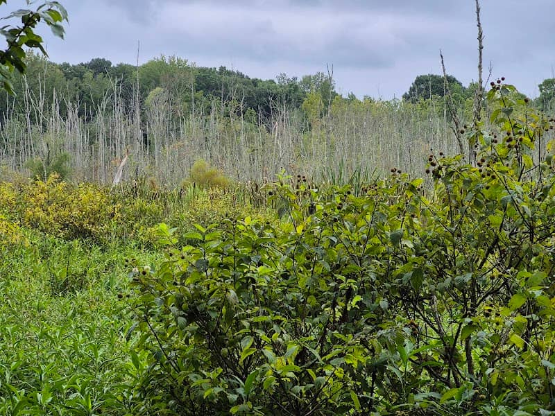 West Branch Nature Preserve Observation Platform - Image 2