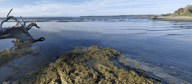 Cluxewe Wildlife Management Area - Image 1