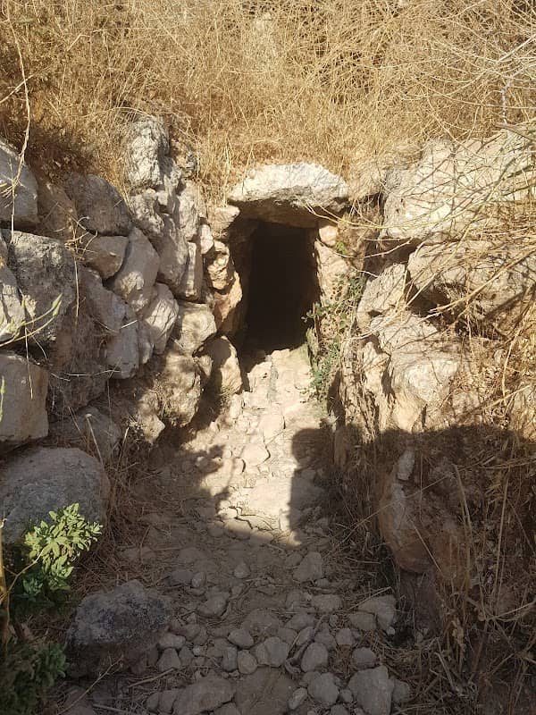 נקבת מעיין כפיר - Image 1