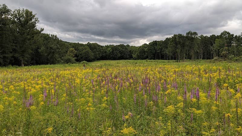 Jennings Environmental Education Center - Image 1