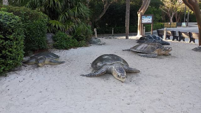 Gumbo Limbo Nature Center - Image 2