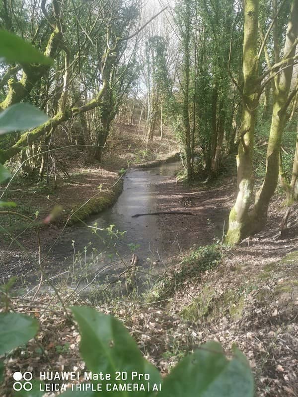 Cunningham Brook - Image 1