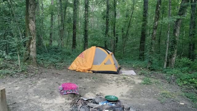 Hunter check station campground - Image 1