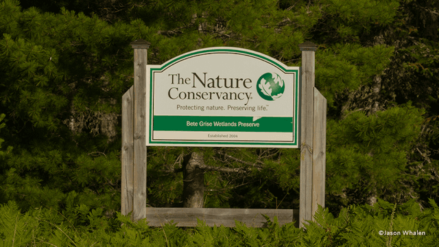 Bete Grise Wetlands Preserve - Image 3