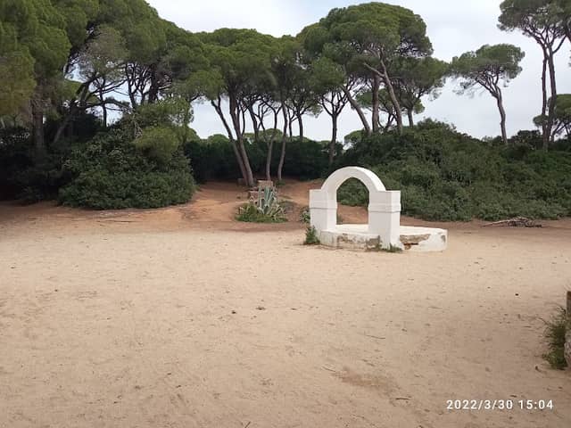 Las Canteras - Image 2