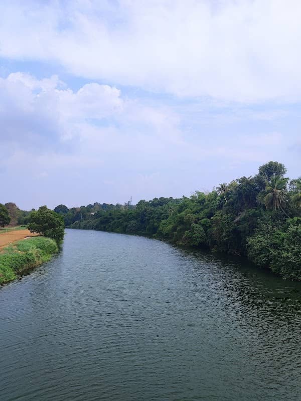 Manakkachira Balidharpana Kadavu - Image 1
