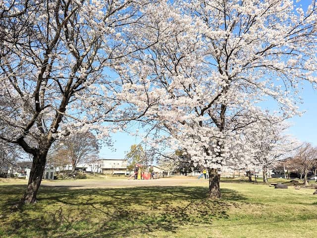 Kazenooka Park - Image 1