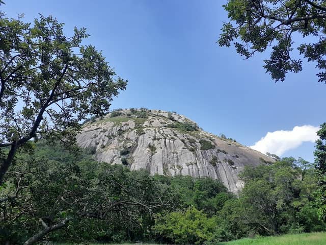 Steiltes nature reserve - Image 1