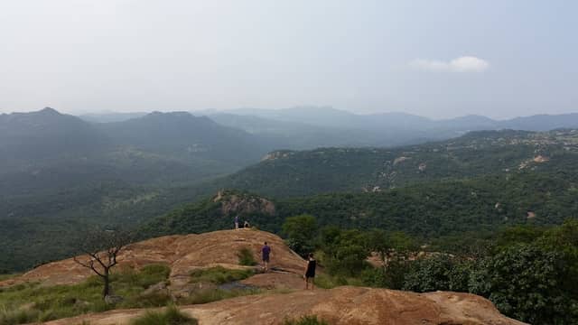 Steiltes nature reserve - Image 2