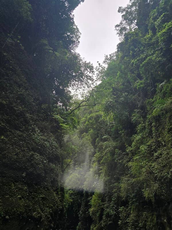 Talaongan Falls - Image 2