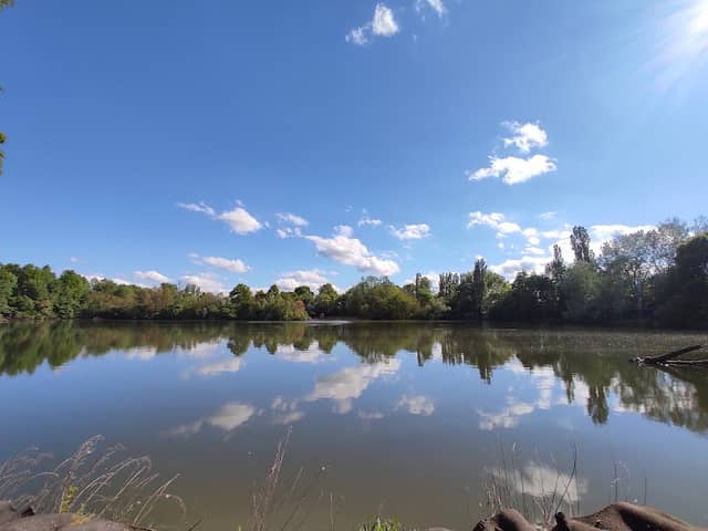 Oasi WWF di Marmirolo - Image 1