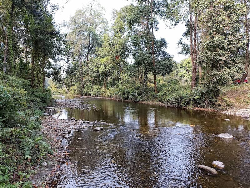 Bagdogra Forest - Image 1