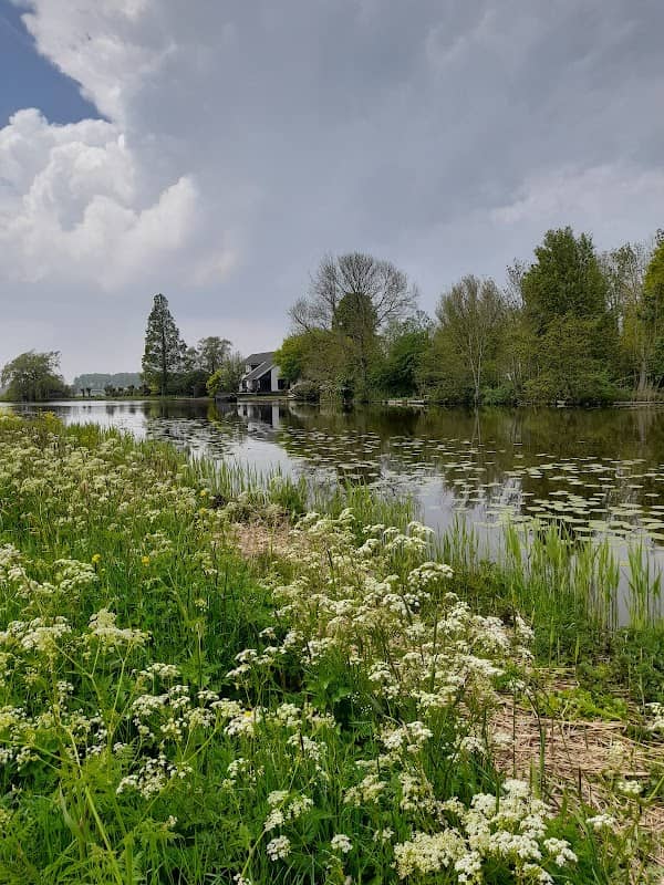 Alblasserbos - Grote Nes - Image 2
