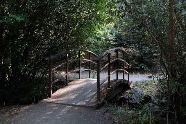 Lake Ida Ann Park - Image 2
