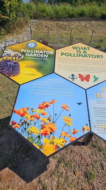 Native Pollinator Garden - Image 1
