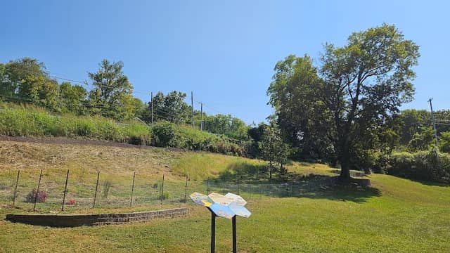Native Pollinator Garden - Image 2