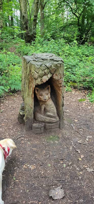 Wickersley Woods - Image 2