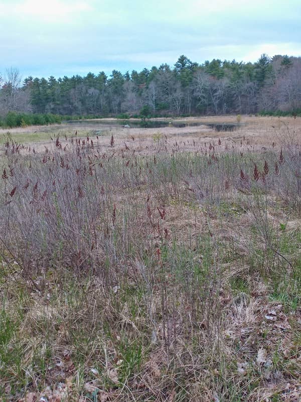 Big River management - Image 1