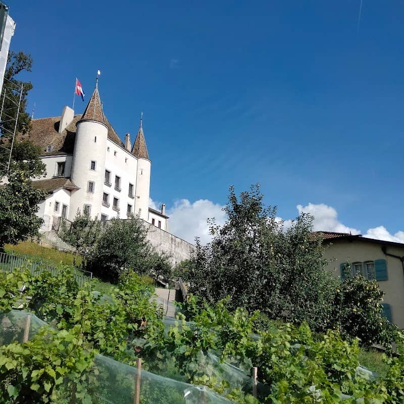 Château de Nyon - Image 2
