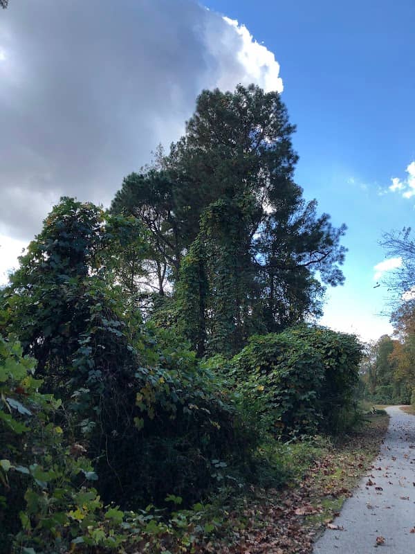 Waynesboro Greenway Trail - Image 1