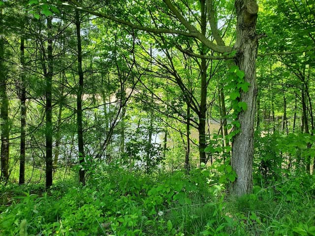 Greenway Corridor - Image 2