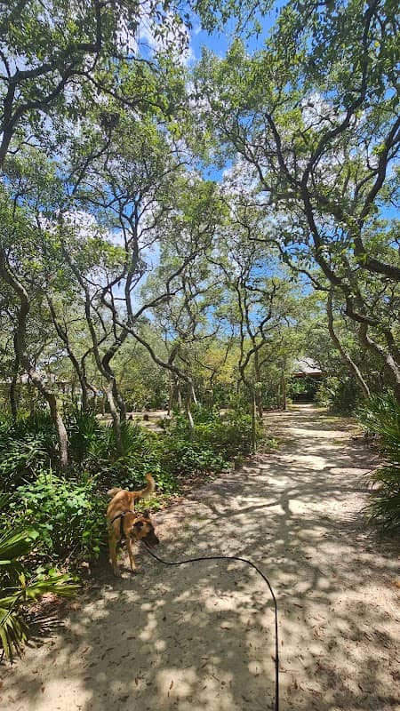 Simmons Road Park - Image 3