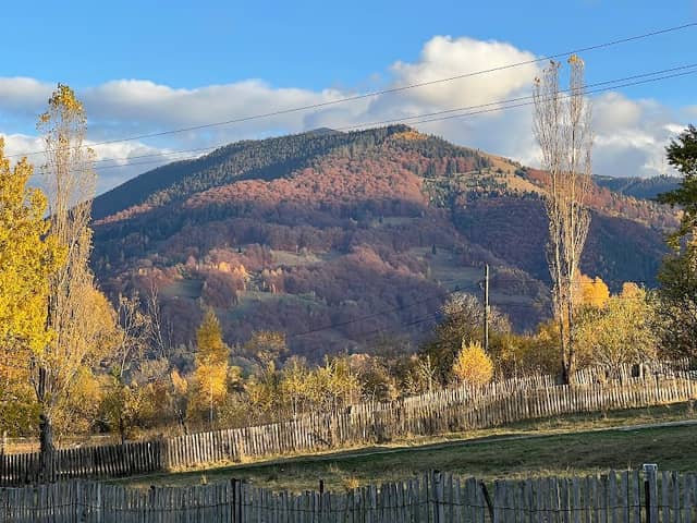 Moliviș - Image 1