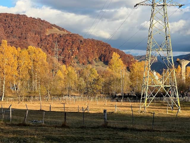 Moliviș - Image 2
