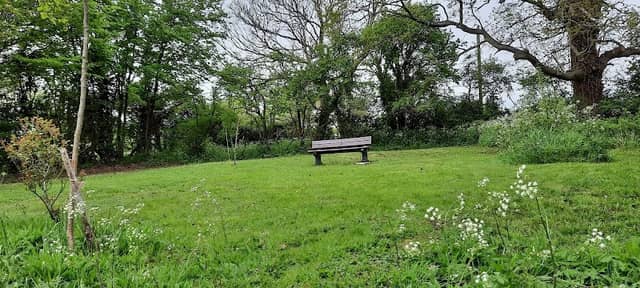 Great Munden Recreational Garden - Image 1
