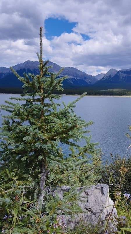 Kananaskis lower lake - Image 3