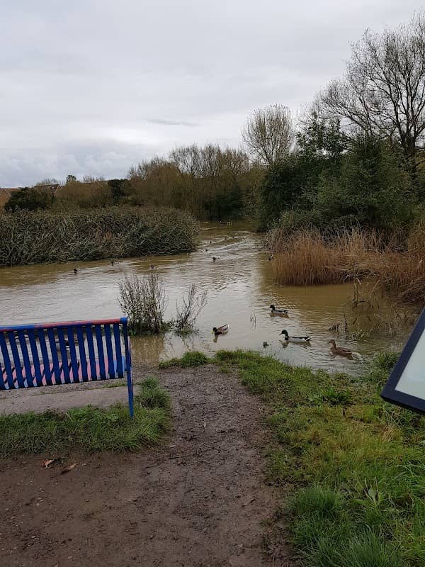 Three Brooks Local Nature Reserve - Image 1