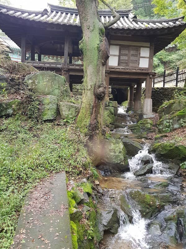 비래사 - Image 1